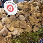 Alloggio per agriturismo Cà Maggio Nuovo