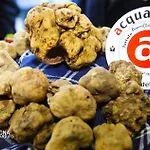 Cà Maggio Nuovo Alloggio per agriturismo