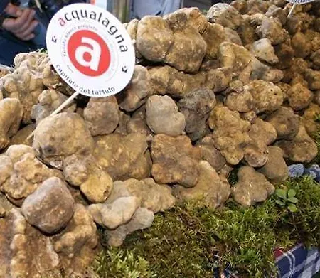 Vakantieboerderij Ca Maggio Nuovo