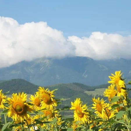 Alloggio per agriturismo Cà Maggio Nuovo *