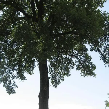 Ca Maggio Nuovo Acqualagna