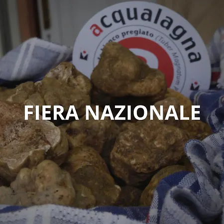 Vakantieboerderij Ca Maggio Nuovo *